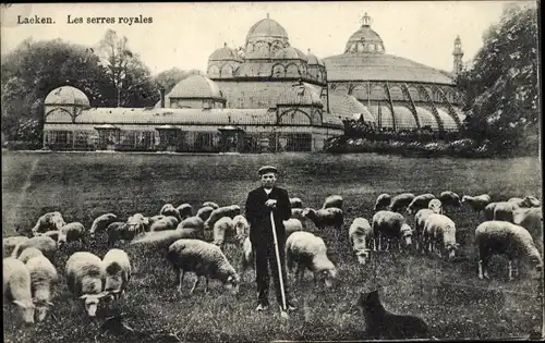 Ak Laeken Brüssel Brüssel, Die königlichen Dienste