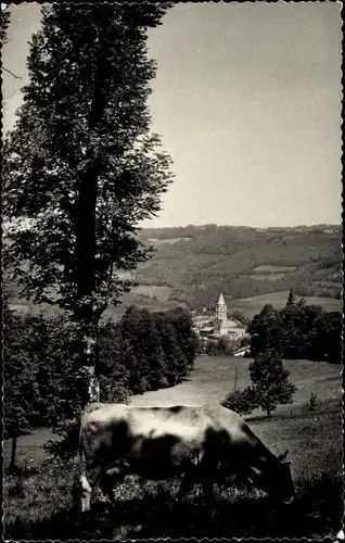 Ak Saint Amans Soult Tarn, Gesamtansicht