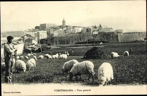 Ak Hondarribia Fuenterrabia Baskenland, Gesamtansicht, Hirte, Schafherde