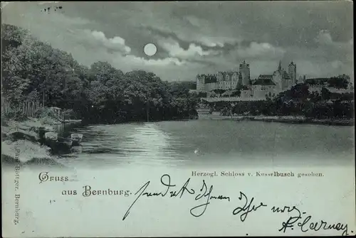 Mondschein Ak Bernburg an der Saale, Herzogliches Schloss v. Kesselbusch aus gesehen