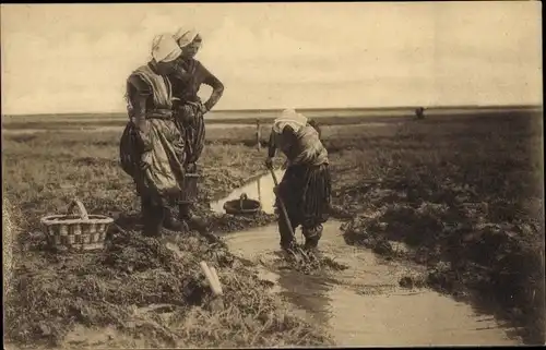 Ak Zeeland Niederlande, Op de Zeeuwsche Schorren, Fluss, Niederländische Tracht