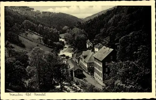 Ak Monschau Montjoie in der Eifel, Rosental