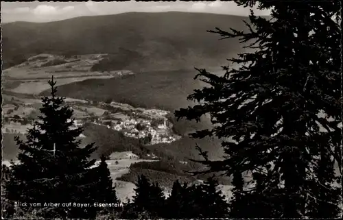 Ak Bayerisch Eisenstein in Niederbayern, Blick vom Arber