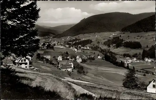 Ak Mitteltal Baiersbronn im Schwarzwald, Panorama