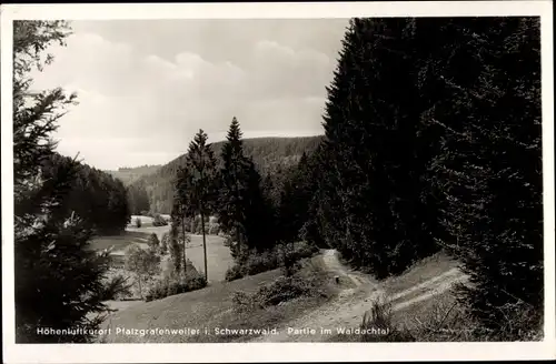 Ak Pfalzgrafenweiler im Schwarzwald Württemberg, Waldachtal