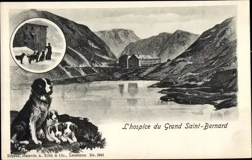Ak St Bernard Sankt Bernhard Kanton Wallis, Hospice du Grand St Bernard