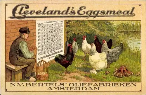 Ak Amsterdam Nordholland Niederlande, Reklame, Cleveland's Eggsmeal, N.V. Bertel's Oliefabrieken