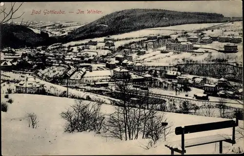 Ak Bad Gottleuba in Sachsen, Winter, Panorama