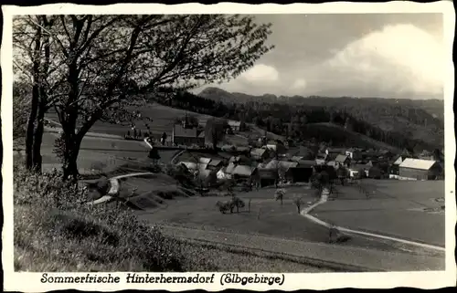 Ak Hinterhermsdorf Sebnitz Sachsen, Totalansicht