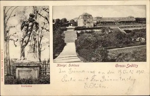 Ak Großsedlitz Heidenau in Sachsen, Herkules Statue, Königliches Schloss