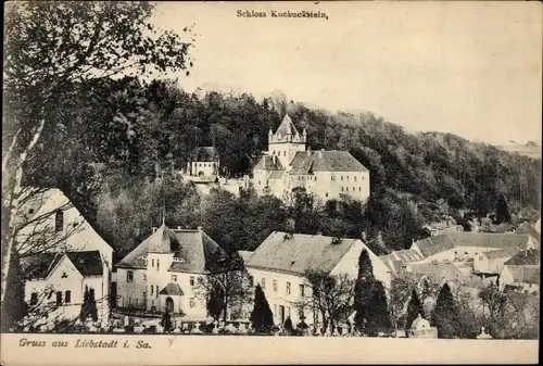 Ak Liebstadt Erzgebirge Sachsen, Schloss Kuckuckstein