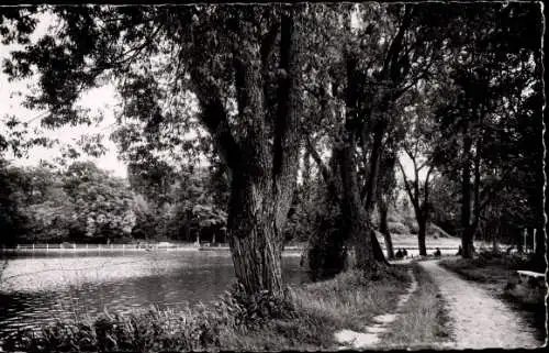Ak Saint Rémy les Chevreuses Yvelines, Spaziergang um den See