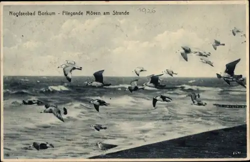 Ak Nordseebad Borkum in Ostfriesland, Fliegende Möwen, Strand