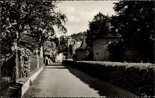 Ak Büdingen in Hessen, Lohsteg