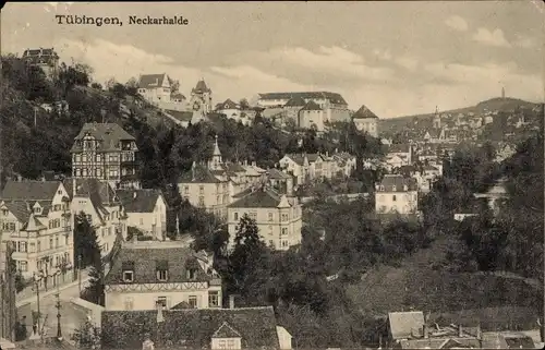 Ak Tübingen am Neckar, Neckarhalde