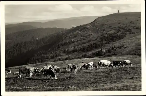 Ak Feldberg im Schwarzwald, Bismarckdenkmal, Grüble, Kühe