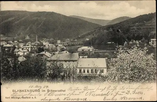 Ak Bad Blankenburg in Thüringen, Schwarzatal, Teilansicht