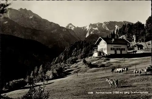 Ak Garmisch Partenkirchen in Oberbayern, Partnachalm, Dreitorspitze