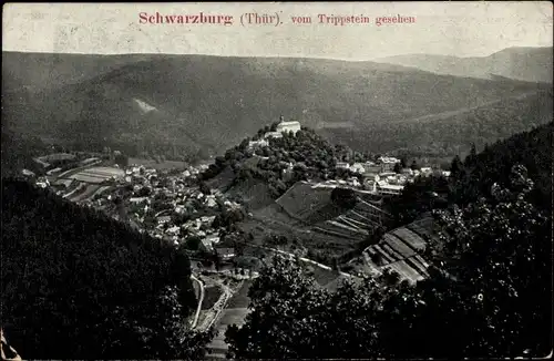 Ak Schwarzburg im Schwarzatal Thüringen, Totalansicht