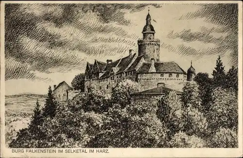 Ak Pansfelde Falkenstein im Harz, Burg Falkenstein, Selketal