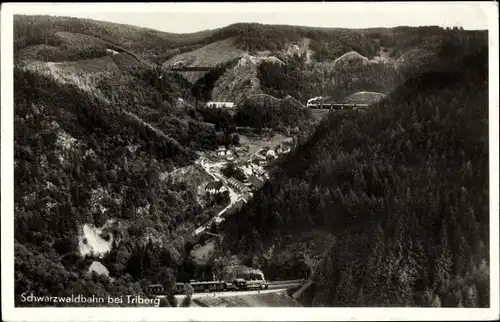 Ak Triberg im Schwarzwald, Totalansicht