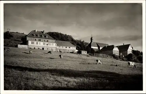 Ak Klosterkreuzberg Bischofsheim an der Rhön, Kloster Kreuzberg, Berghotel Braun, Kühe