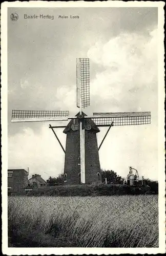 Ak Baarle Hertog Flandern Antwerpen, Windmühle Loots