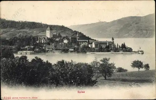 Ak Spiez am Thuner See Kanton Bern, Panorama