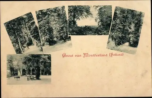 Ak Montferland Gelderland Niederlande, Waldpartie, Allee