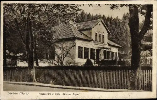 Ak Seesen am Harz, Restaurant und Café Grüner Jäger