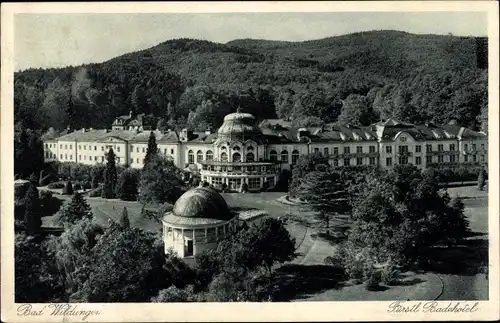 Ak Bad Wildungen in Hessen, Fürstliches Badehotel