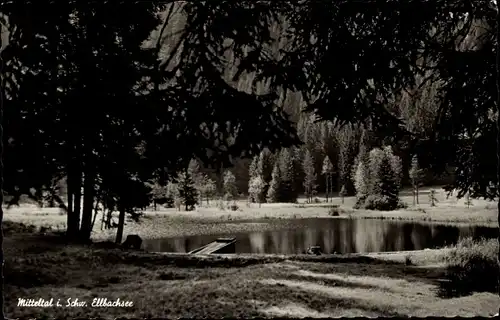 Ak Mitteltal Baiersbronn im Schwarzwald, Ellbachsee