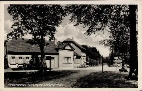 Ak Stolberg im Harz, Waldgaststätte Auerberg