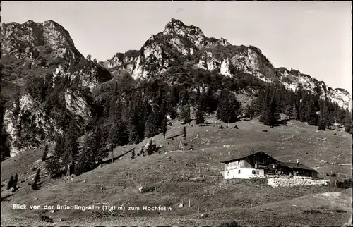 Ak Bergen im Chiemgau in Oberbayern, Bründling-Alm, Hochfelln