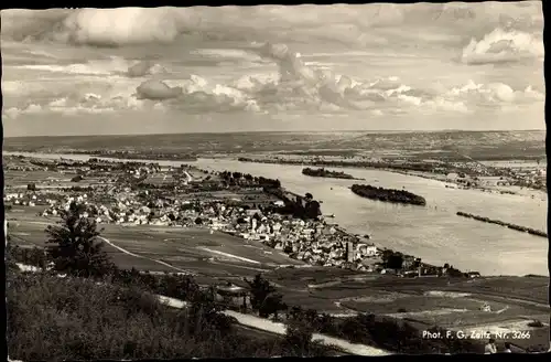 Ak Rüdesheim am Rhein, Panorama