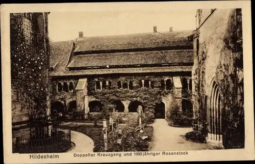 Ak Hildesheim in Niedersachsen, Doppelter Kreuzgang, Rosenstock