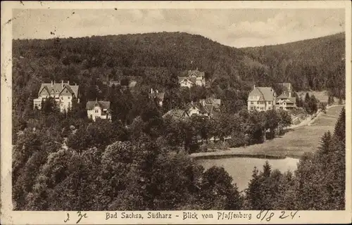 Ak Bad Sachsa im Harz, Blick vom Pfaffenberg