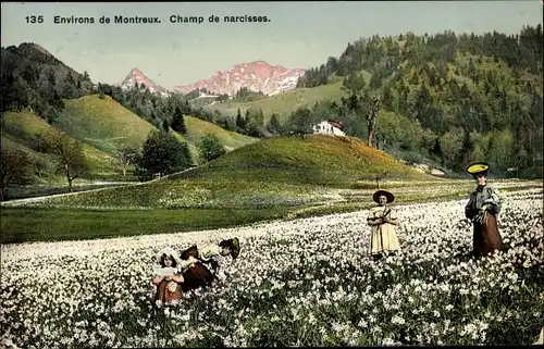 Ak Montreux Kanton Waadt Schweiz, Narzissenfeld