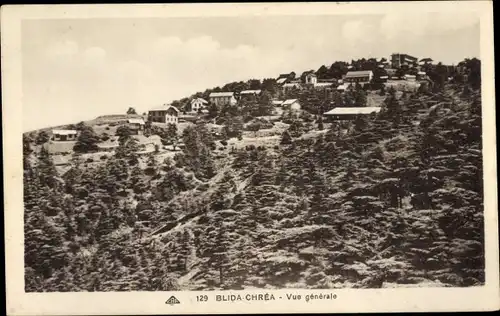 Ak Chréa Algerien, Gesamtansicht