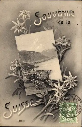 Passepartout Ak Territet Montreux Kt. Waadt, Gesamtansicht, Edelweiß