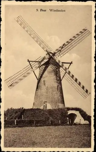 Ak Peer Flandern-Limburg, Windmühle