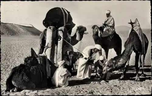 Ak Saharienne Collection, ein rudimentärer Wassertrog, Kamele