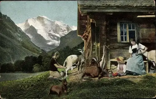 Ak Schweiz, Berghütte, Bauern, Ziegen, Melken, Familie, Gebirge