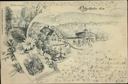 Litho Lützelhöhe Frankenberg an der Zschopau, Gasthaus, Wolfsschlucht, Strohtempel