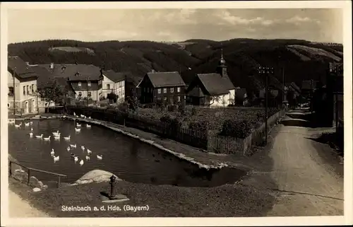 Ak Steinbach an der Haide Ludwigsstadt im Kreis Kronach Oberfranken, Blick auf den Ort