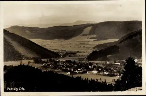 Ak Pressig in Oberfranken, Panorama