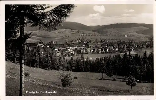 Ak Pressig in Oberfranken, Panorama