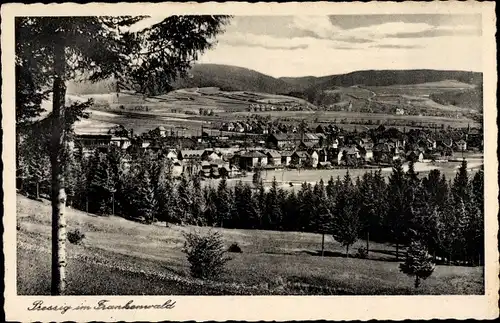 Ak Pressig in Oberfranken, Panorama