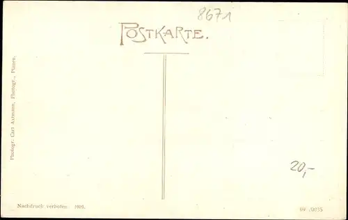 Ak Töpen in Oberfranken, Gasthof zum schwarzen Ross, Inh. Otto Schulz, Panorama