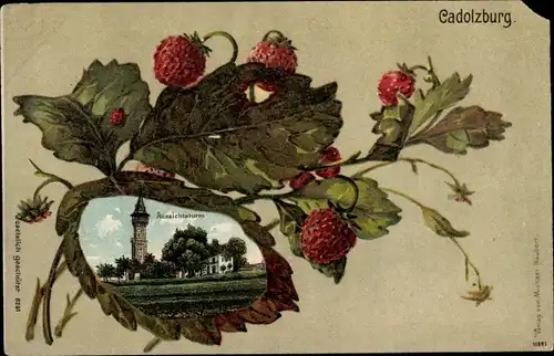 Ak Cadolzburg in Mittelfranken, Aussichtsturm, Erdbeeren